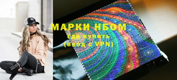 хмурый Алзамай