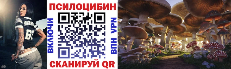 kraken ссылки  Липки  Галлюциногенные грибы Cubensis 